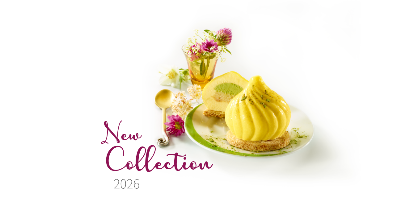 Collection 2026